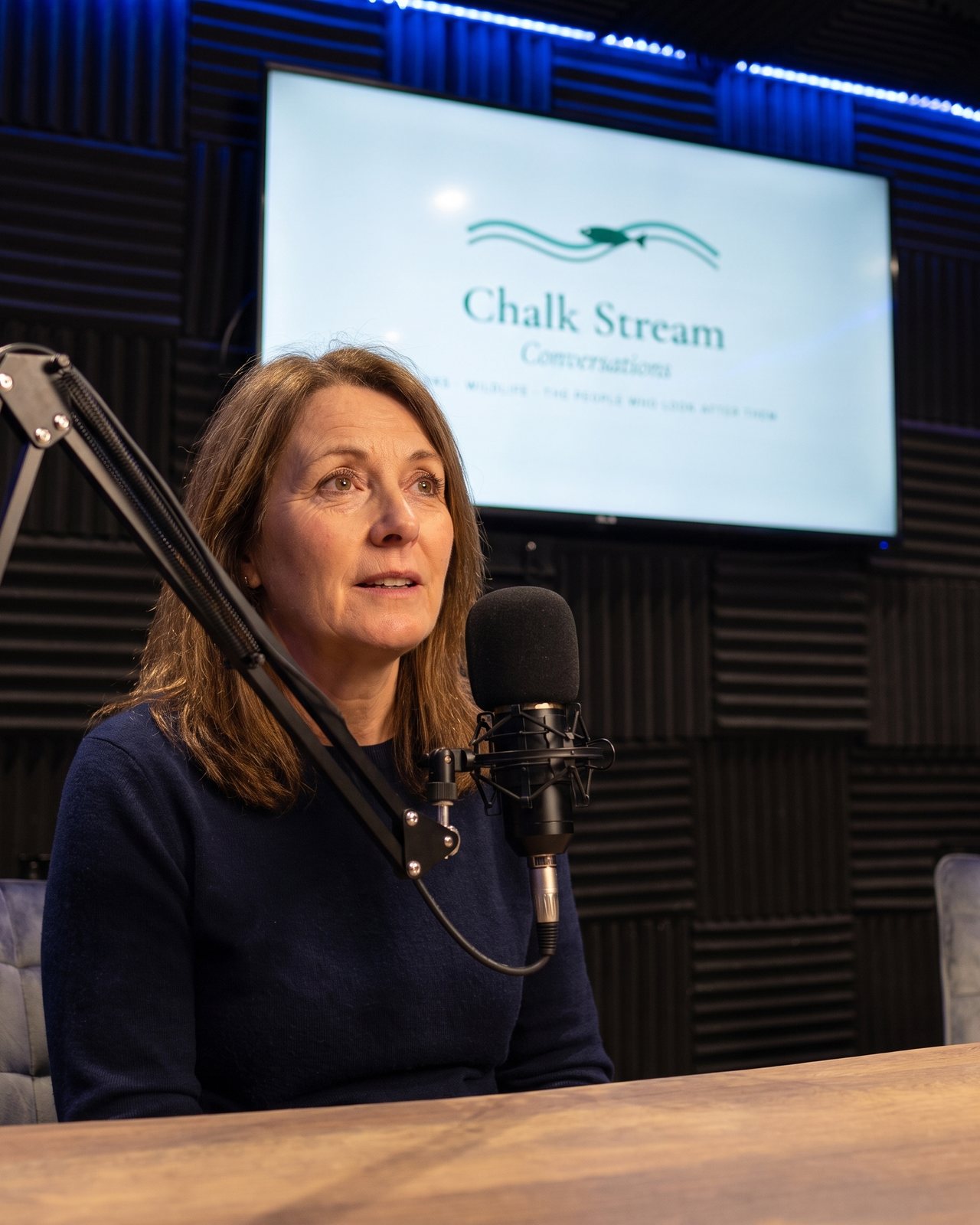 A guest talking into a broadcast microphone, the show's title card on the screen behind her